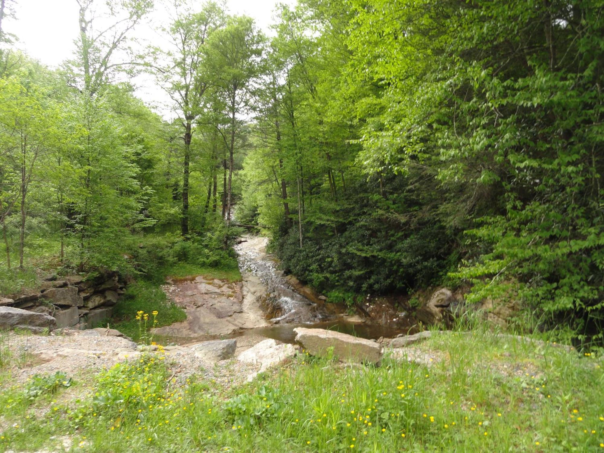 Beech Manor By Vci Real Estate Services Beech Mountain Dış mekan fotoğraf